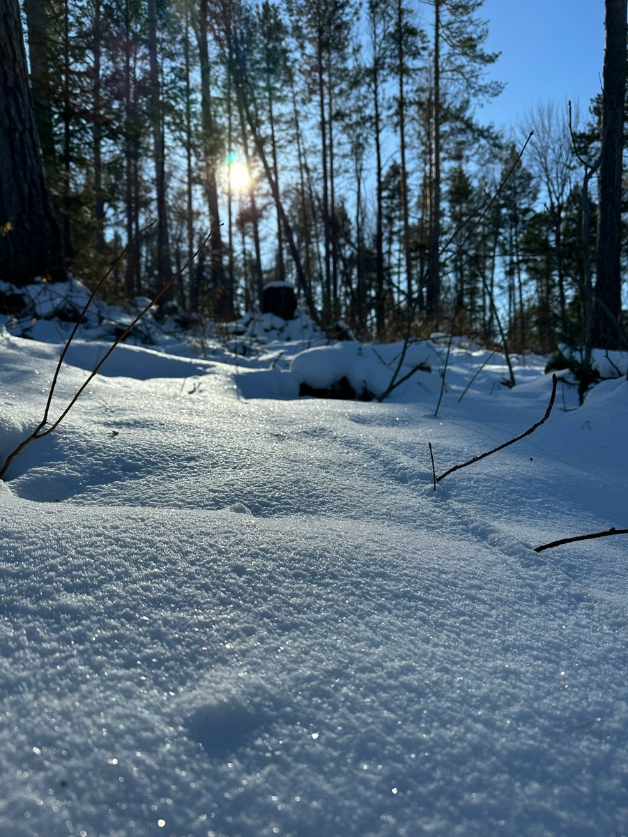Фотографией поделилась дочь.