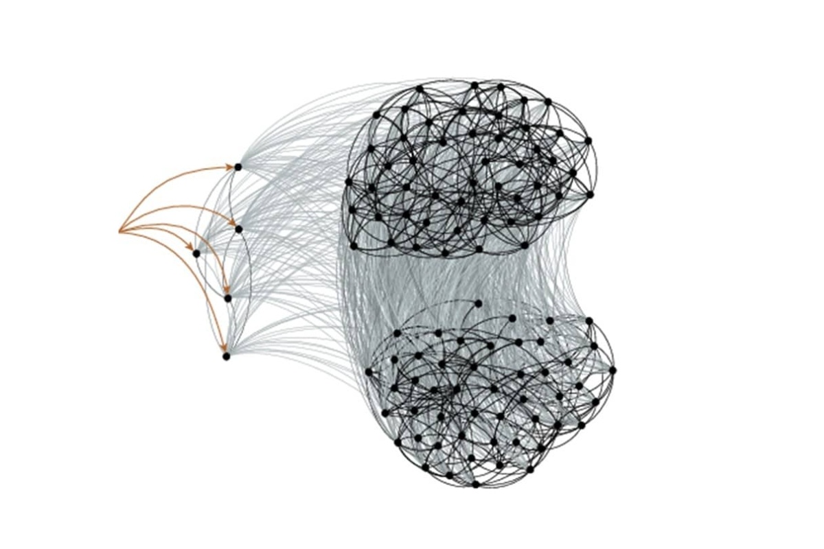    Фото: Пресс-служба РЭУ им. Г.В. Плеханова