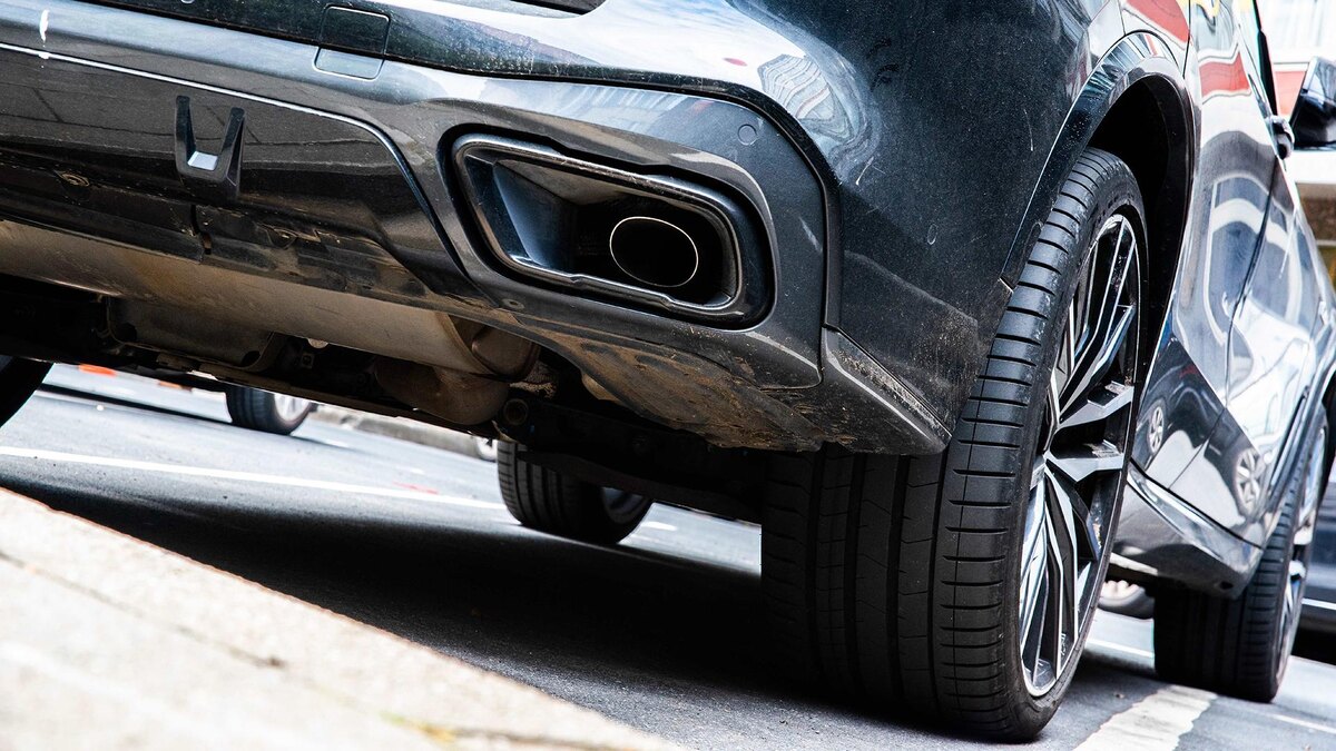    Фото: Alicia Windzio/globallookpress.com