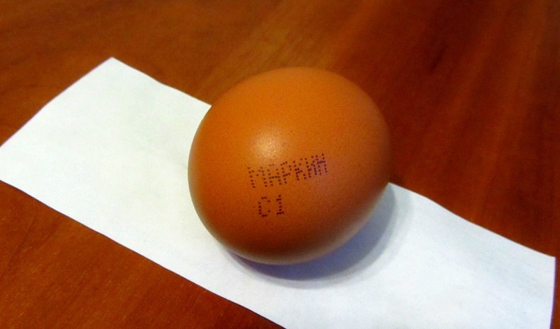 "Фамильное" яйцо! (Источник: архив автора)