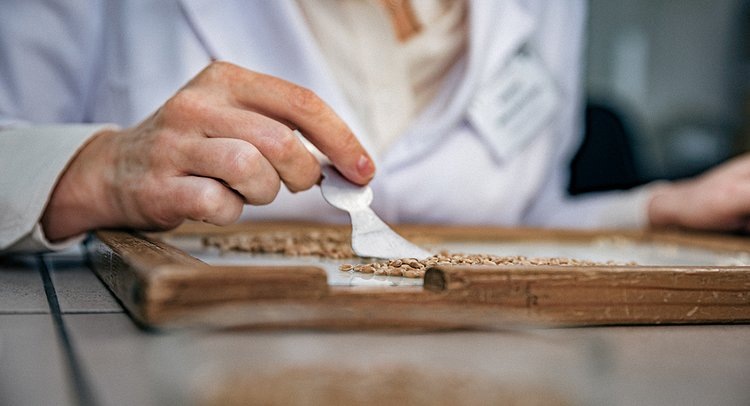    Фото: ФГБУ ЦОК АПК