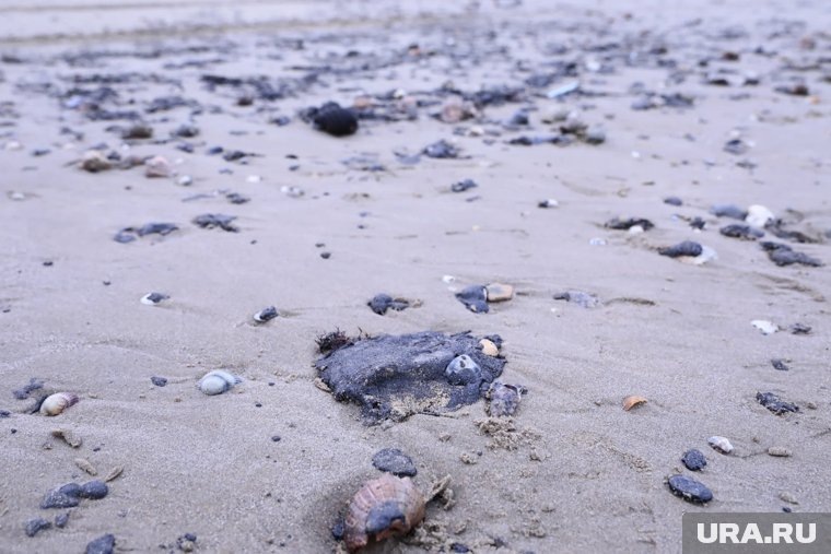     К кубанским берегам идут около 900 тонн мазута