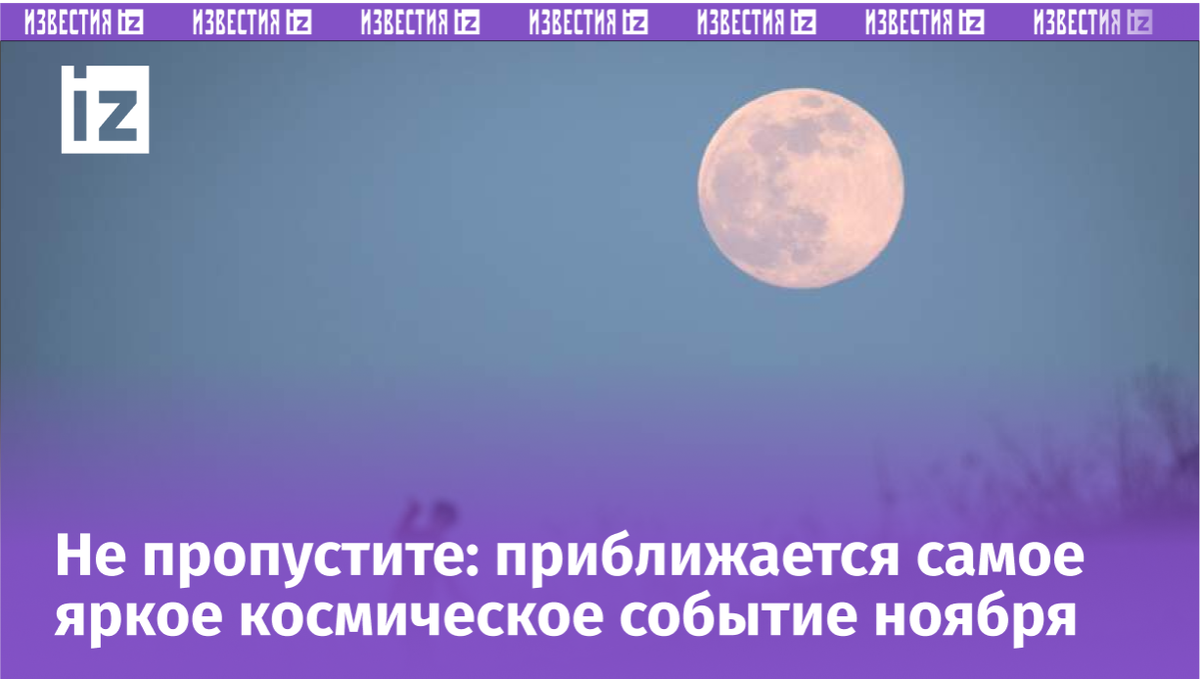 Фото: Global Look Press/Bernd Thissen