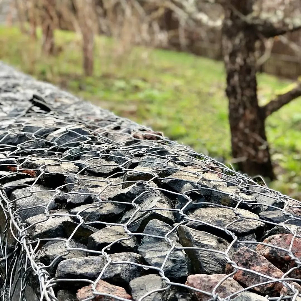    Соцсети компании kogangabions