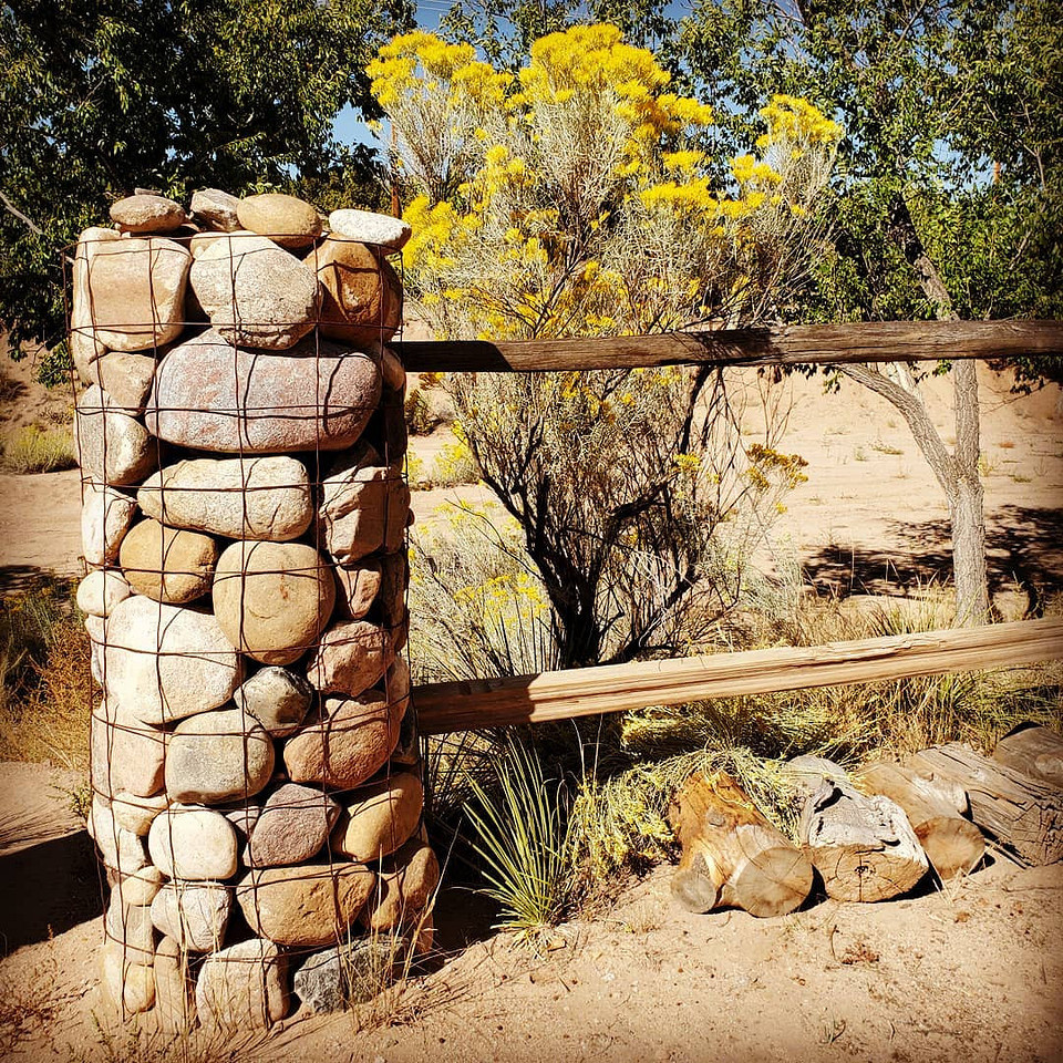    Соцсети блогера tidepoolgirl