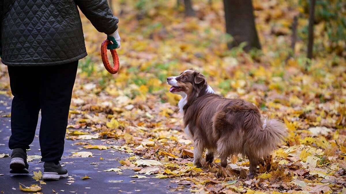    Фото: Сергей Киселев / АГН Москва