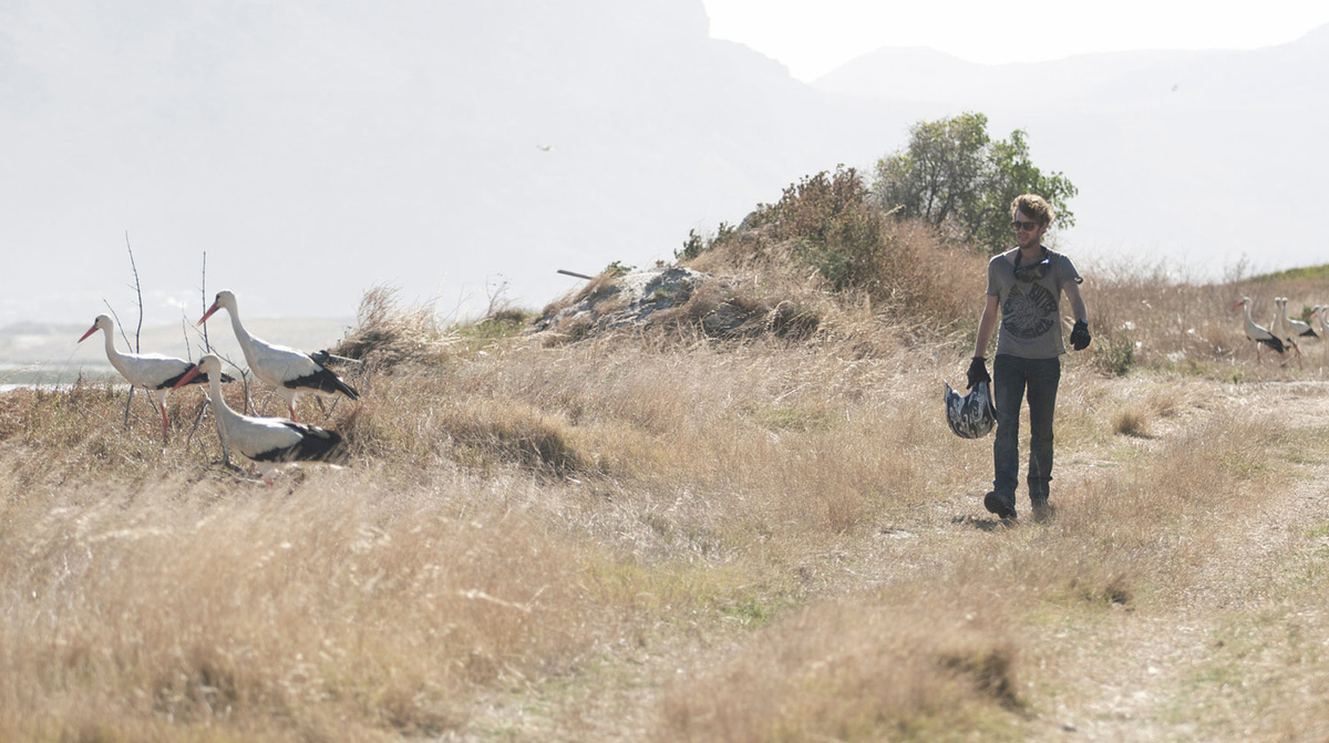 Кадр из сериала