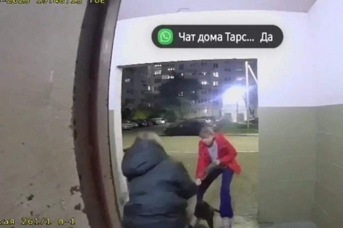    Хозяйка покусавшей школьницу собаки стала героиней телешоу