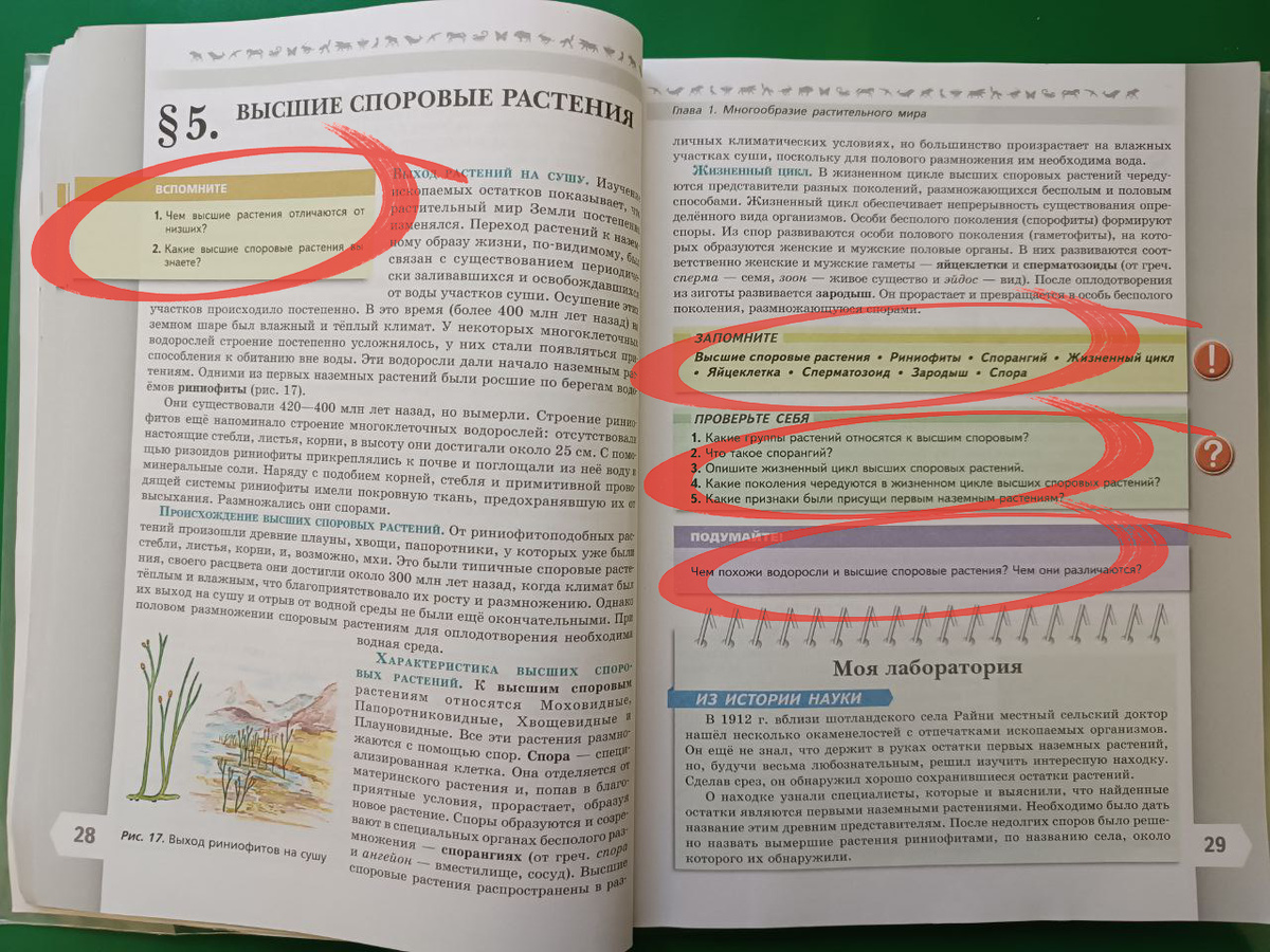 Разобраться с этими информационными блоками параграфа поможет ИИ 