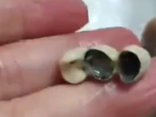    Фото: scmp.com/Weibo