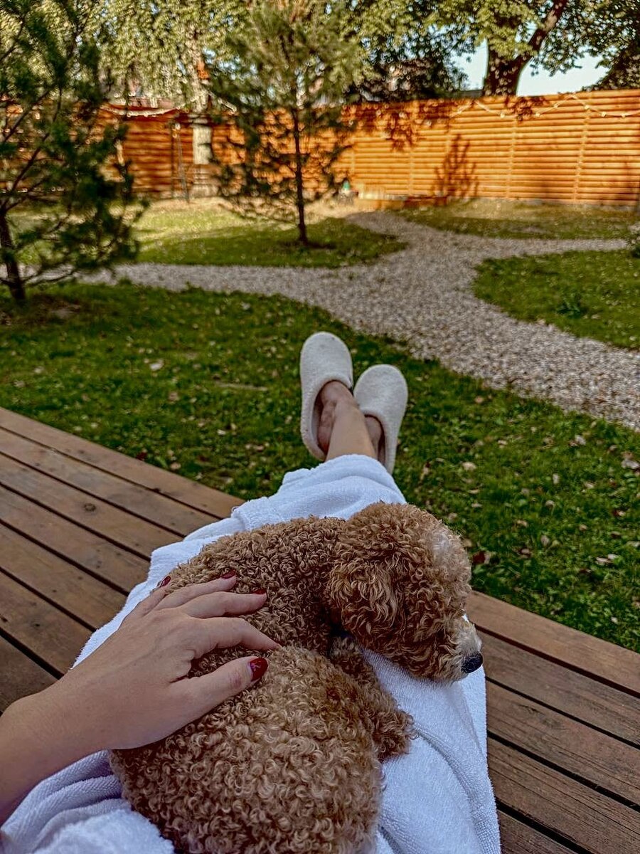 Отдых с питомцем за городом на уютной даче Aframe Happy