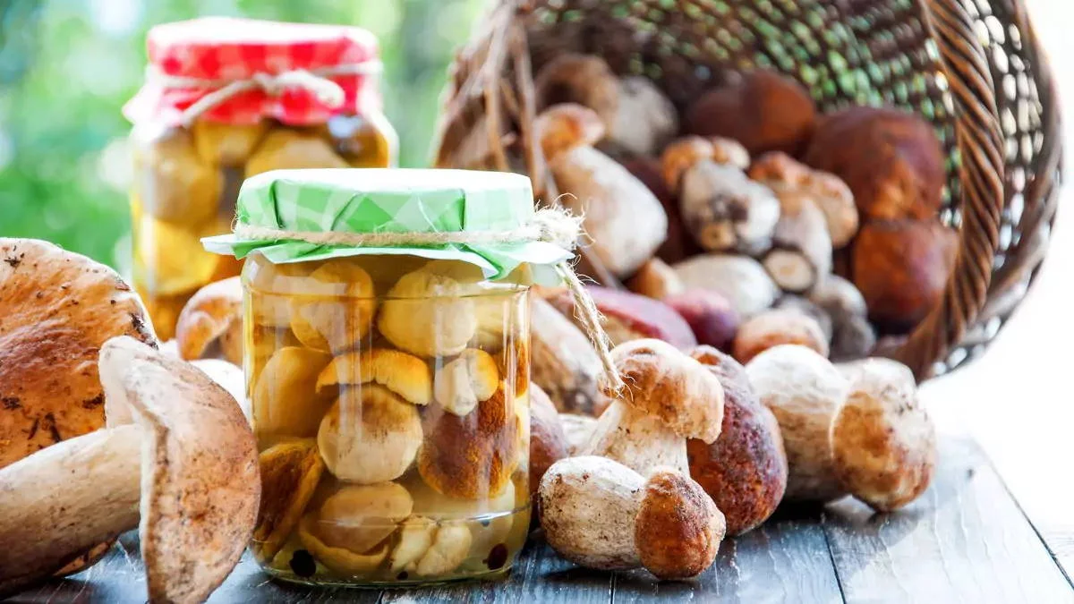Самые вкусные лесные маринованные грибы на зиму Как приготовить быстро и просто