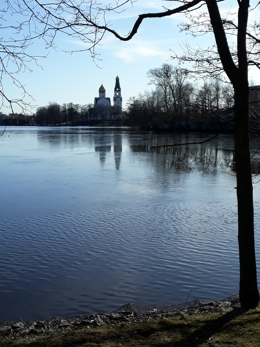 Фото автора.