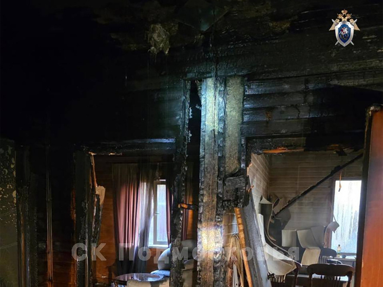     Фото: ГСУ СКР по Московской области