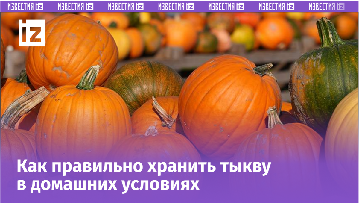 Фото: Global Look Press/Marcus Brandt