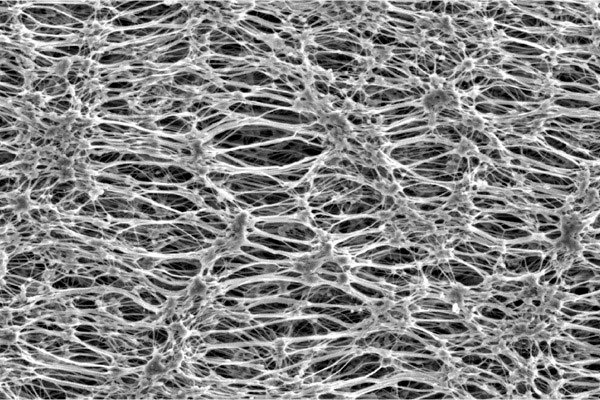 От тефлона до куртки: случайное открытие. Дышит, но не промокает. Как это вообще возможно? Источник фотографии: gore-tex.com