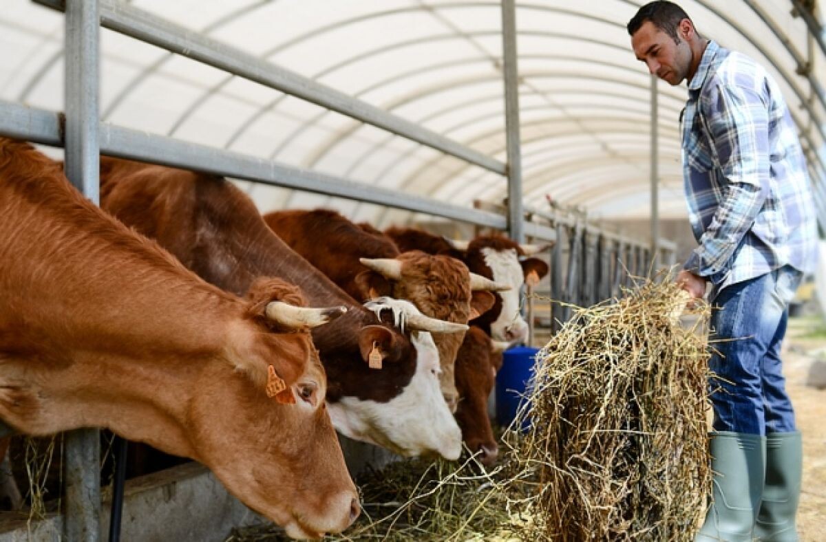 Фото: chel.aif.ru