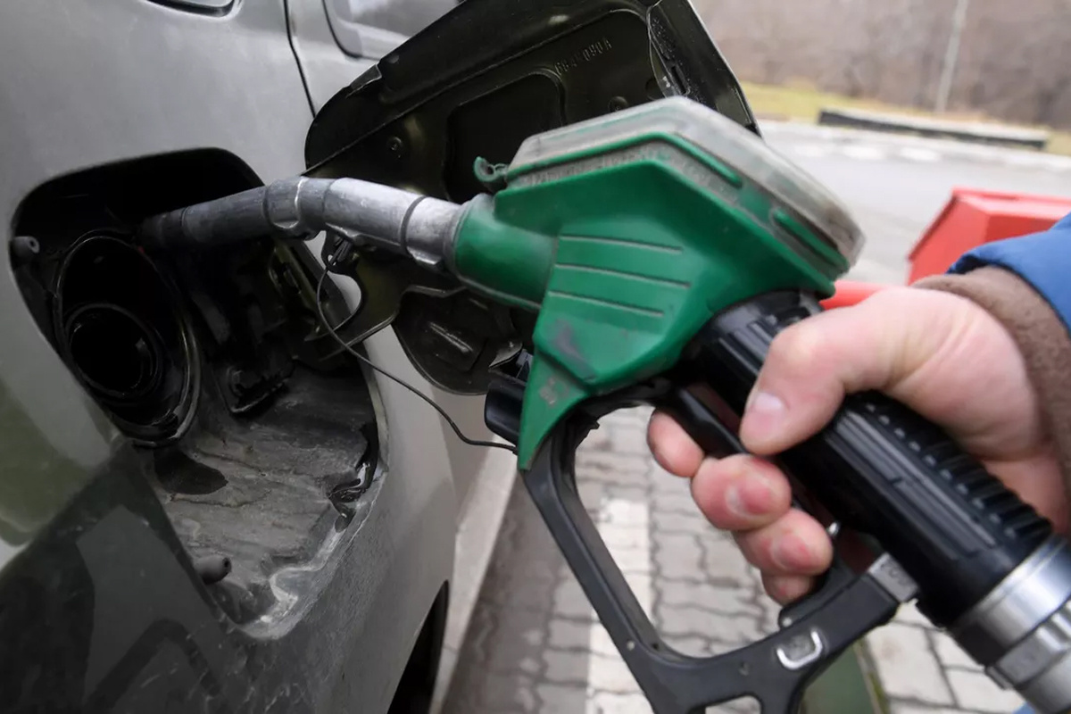    Фото: Максим Богодвид Источник: ria.ru