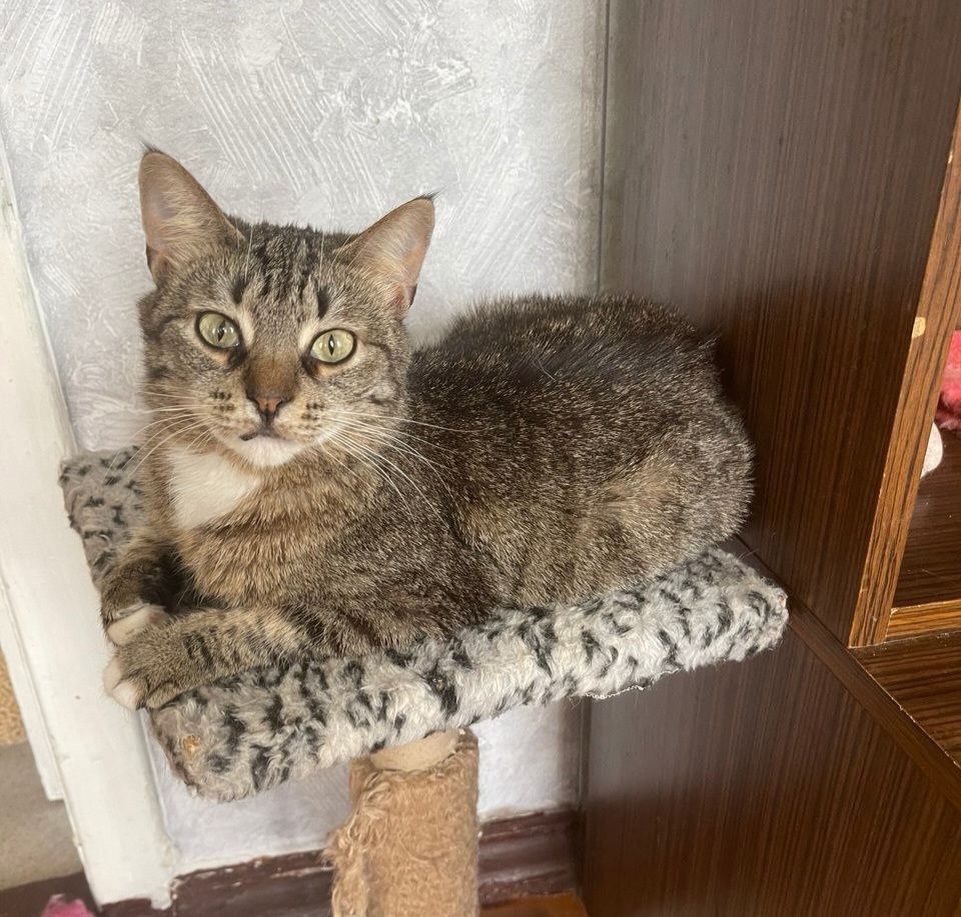 Или просто полежать