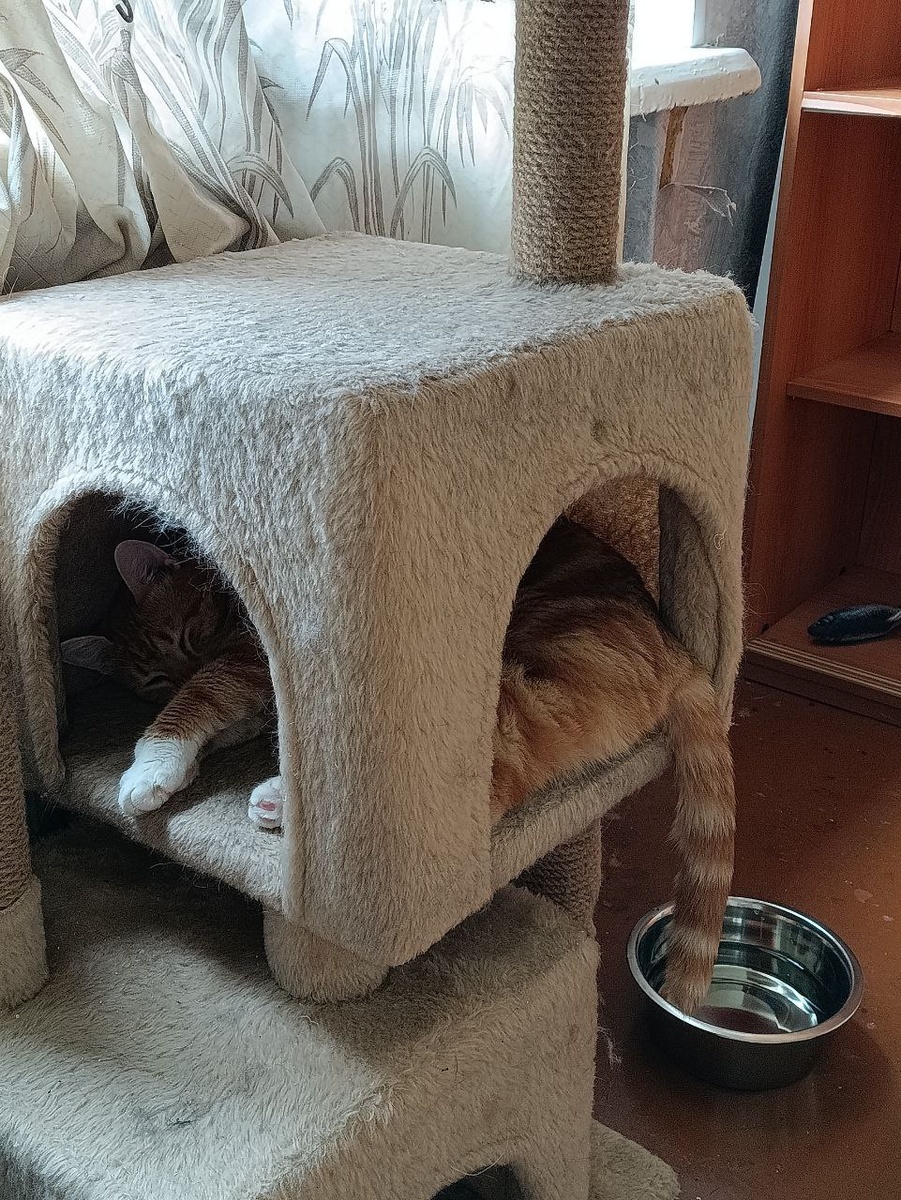 Поели, можно поспать