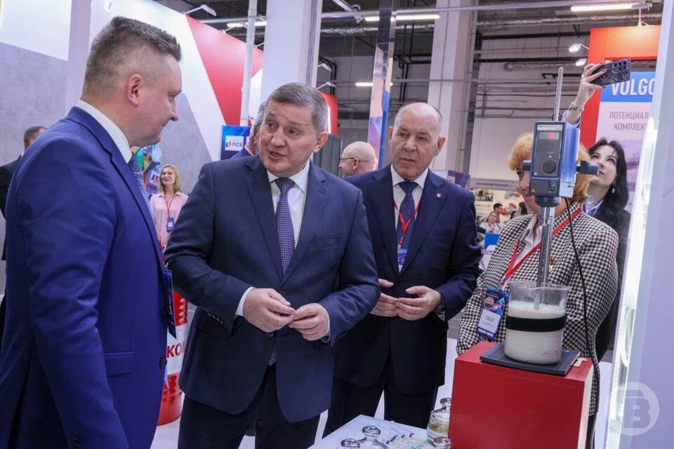    фото: Дмитрий Рогулин / "Городские вести"