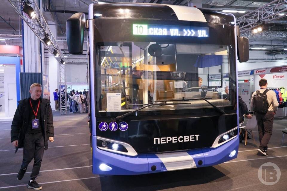    фото: Дмитрий Рогулин / "Городские вести"