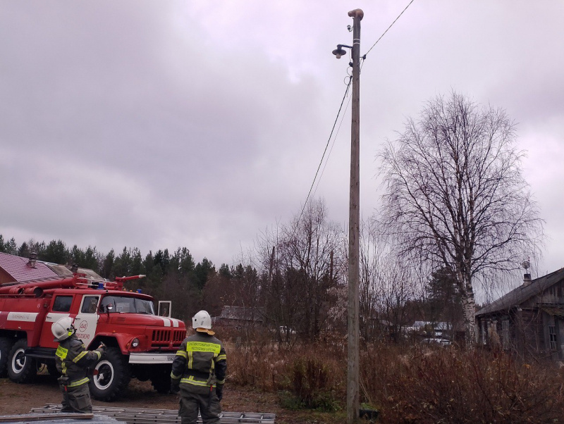    Пожарные в Карелии спасли замерзавшего на столбе котаГоскомитет Карелии по безопасности