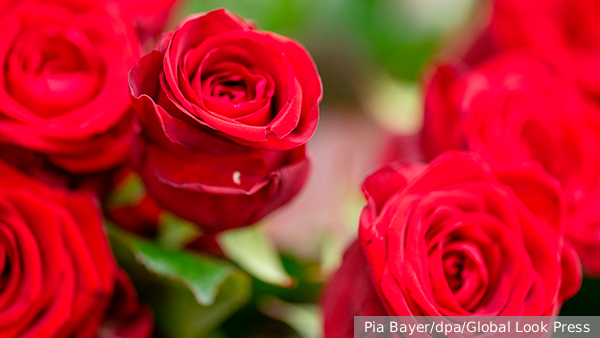     Фото: Pia Bayer/dpa/Global Look Press   
 Текст: Вера Басилая