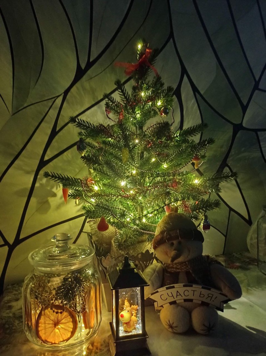 Фото из архива - 2024 год.