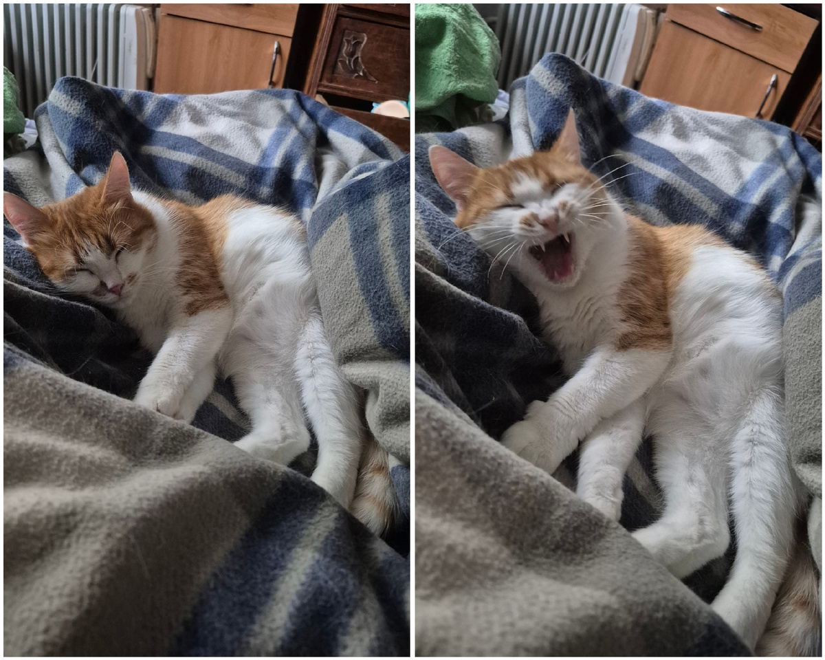 наше утро (на самом деле день)