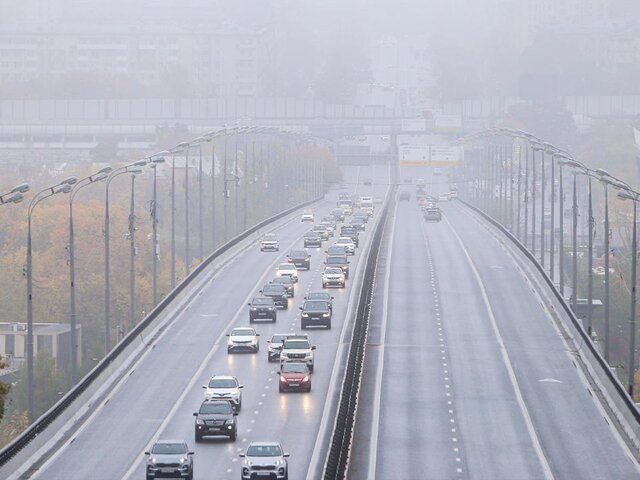    Фото: Москва 24/Лидия Широнина