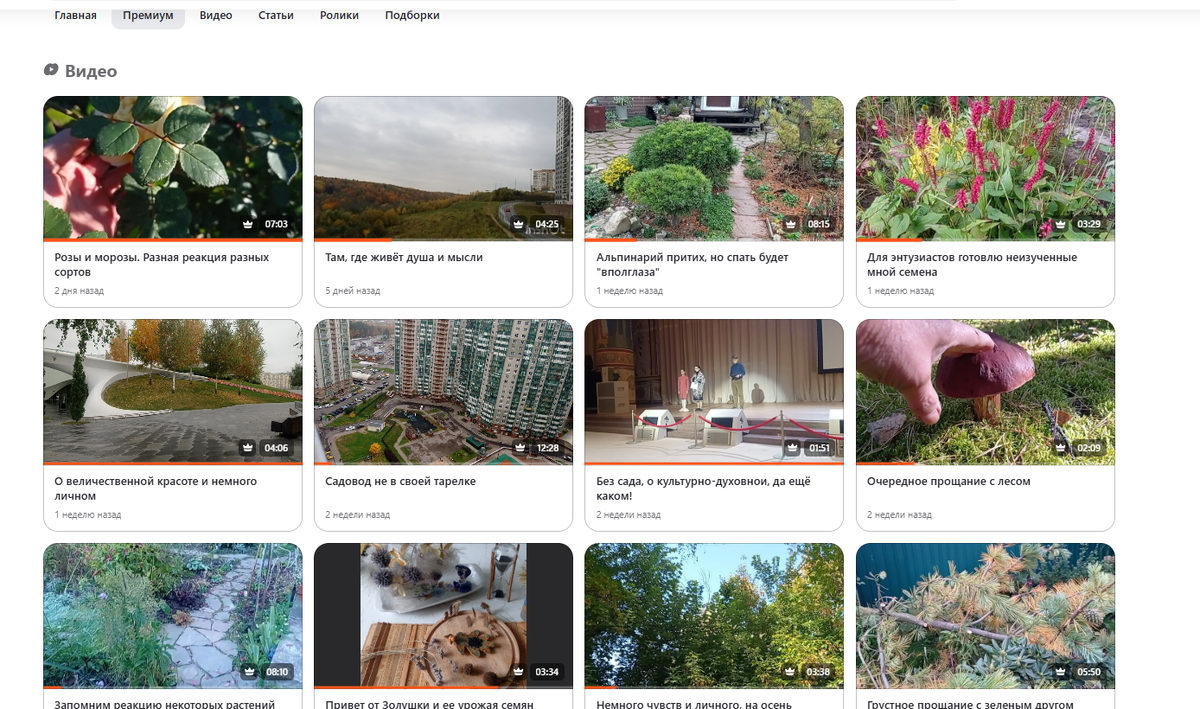 послдниее публикации "под замком"
