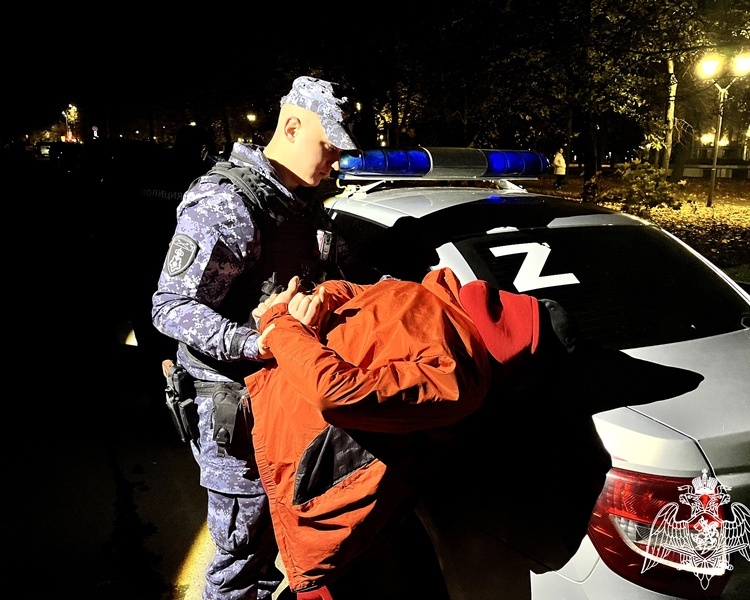     В Курске росгвардейцы задержали отца после скандала в детском саду