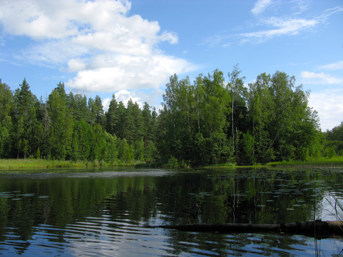 Панорама озера Косенхаута, вид на остров.