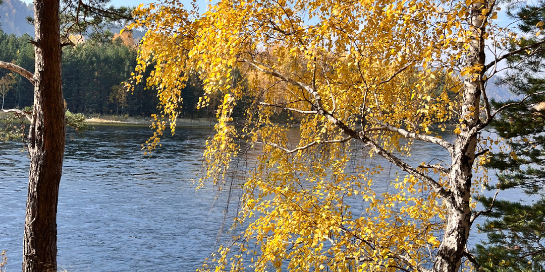 Осеннее вдохновение: Когда природа становится музой