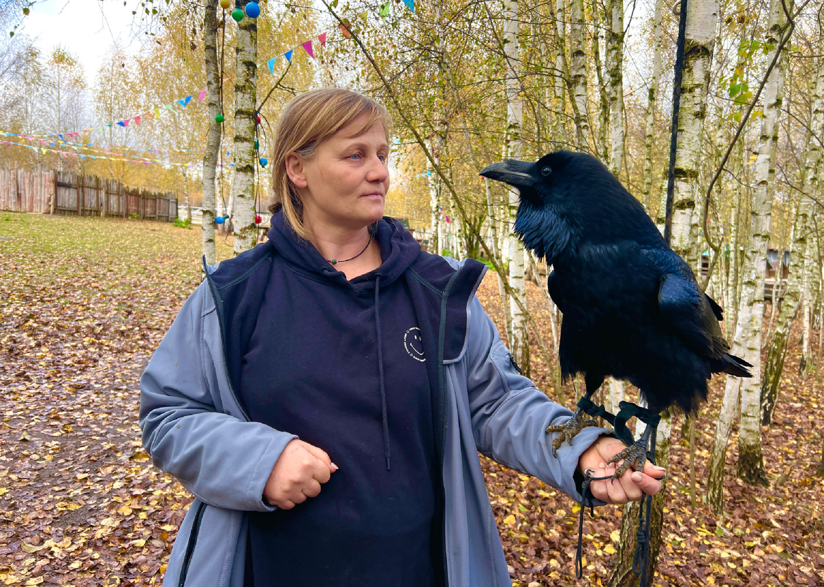 Все фото из зоостудии: канал Зоркий. Видео с разговорами — в конце статьи 