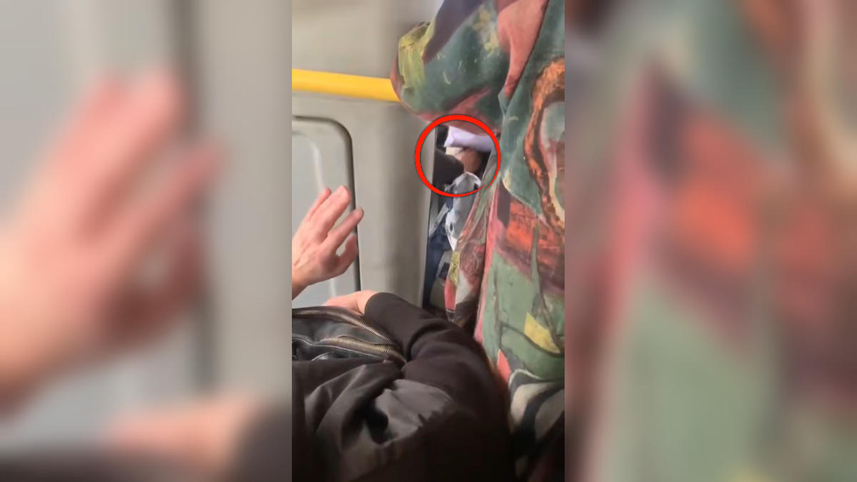 Авторо: В. Панченко