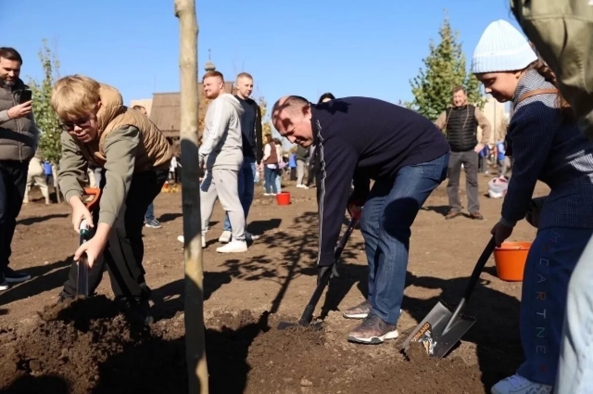    Глава города принял участие в Дне древонасаждения вместе с ростовчанами.