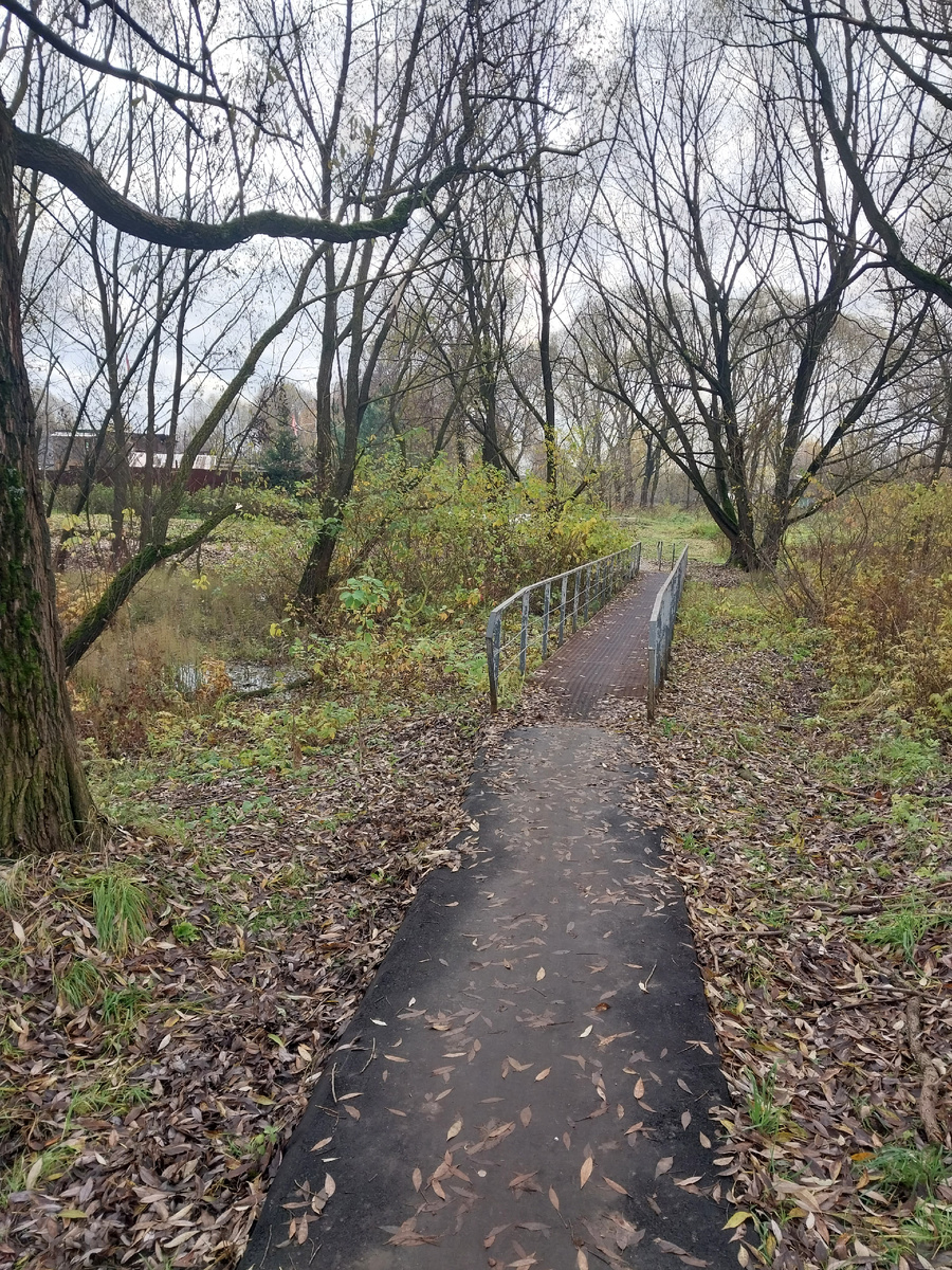 Осенние тропинки за Чечерским Бульваром.