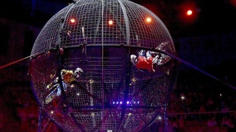     Источник: сайт цирка «VIVAT»