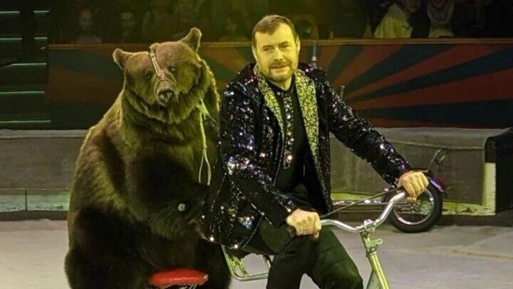     Источник: сайт цирка «VIVAT»