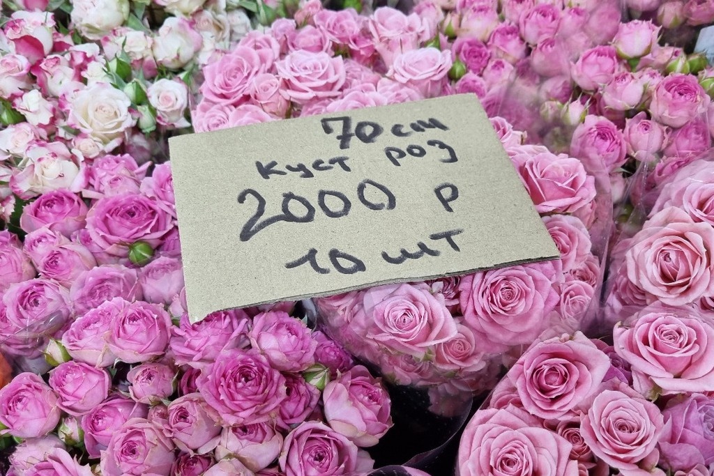    Фото © Анастасия Романова / Абзац