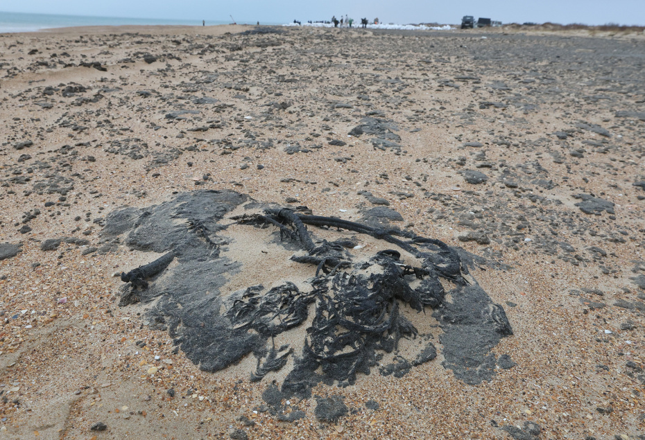    Алексей Белкин/NEWS.ru