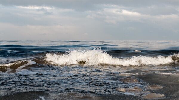    © Photo : Public Domain / Ervins Strauhmanis