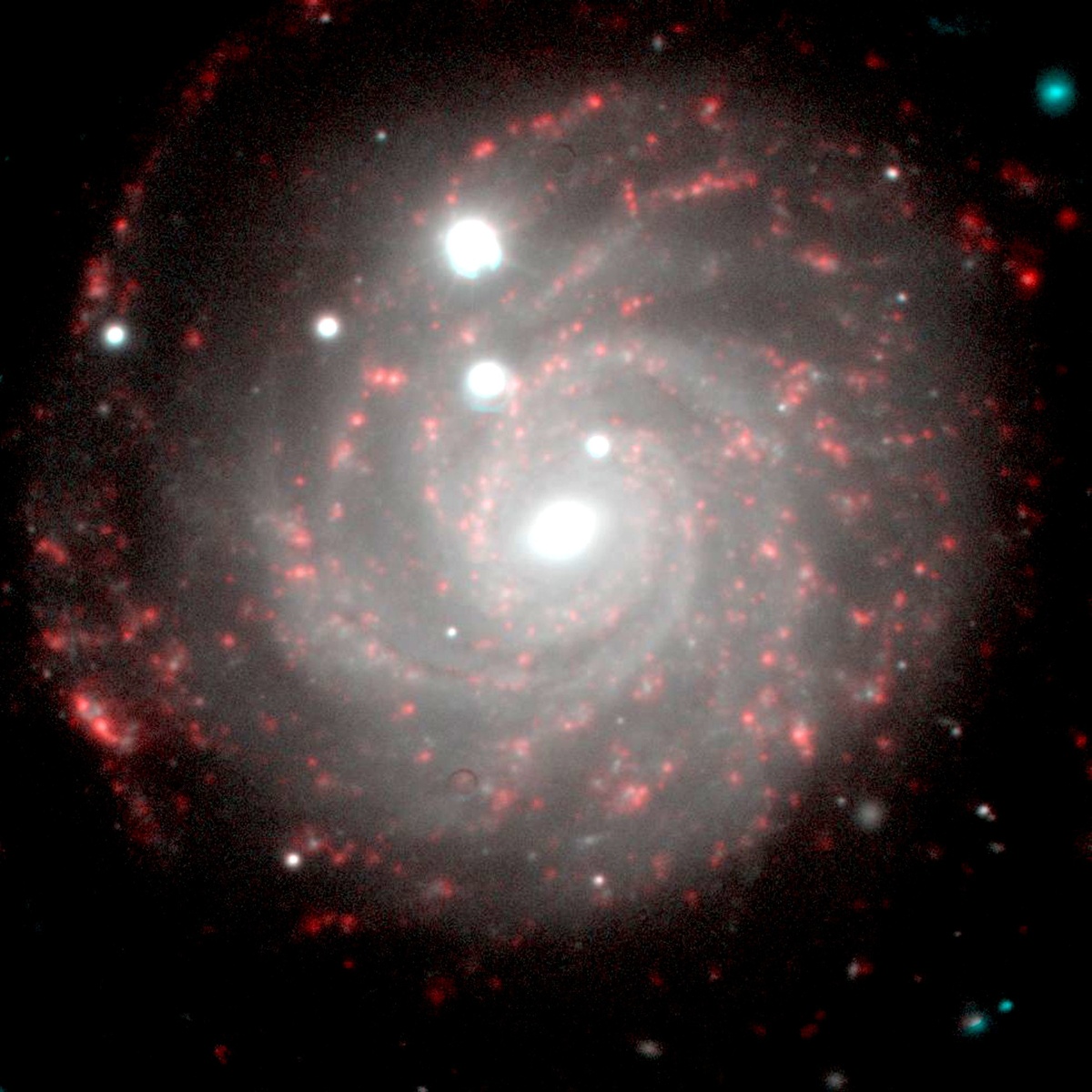 Рис 2. Фотоснимок удалённой галактики, вы­полненный астрономами САО В. Афанасьевым и А. Моисеевым. Расстояние до этого объекта – более 100 млн св. лет.