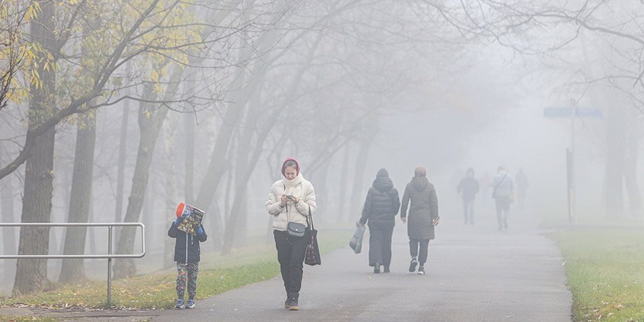    Фото: Москва 24/Лидия Широнина