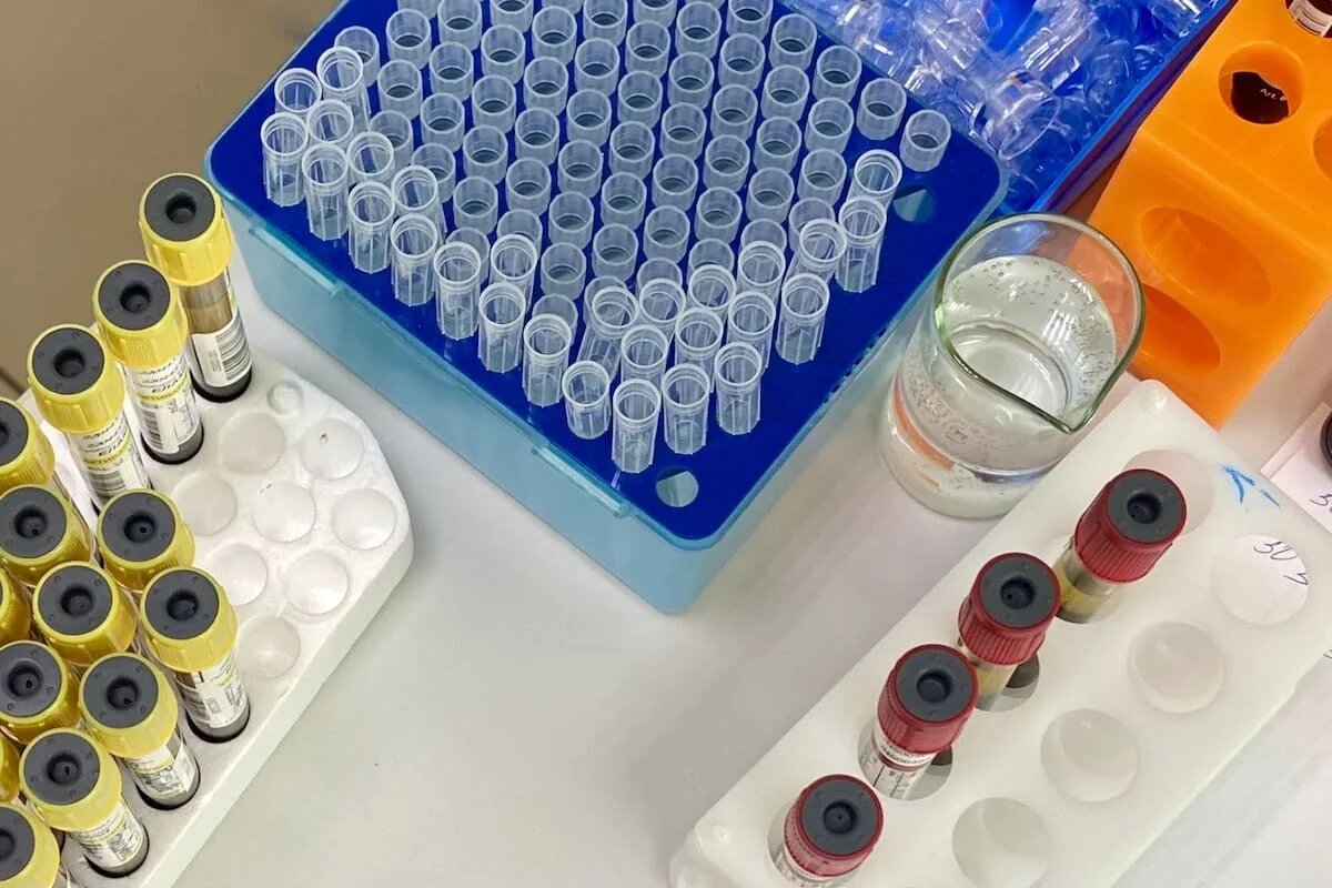 Фото: UfacityNews.ru