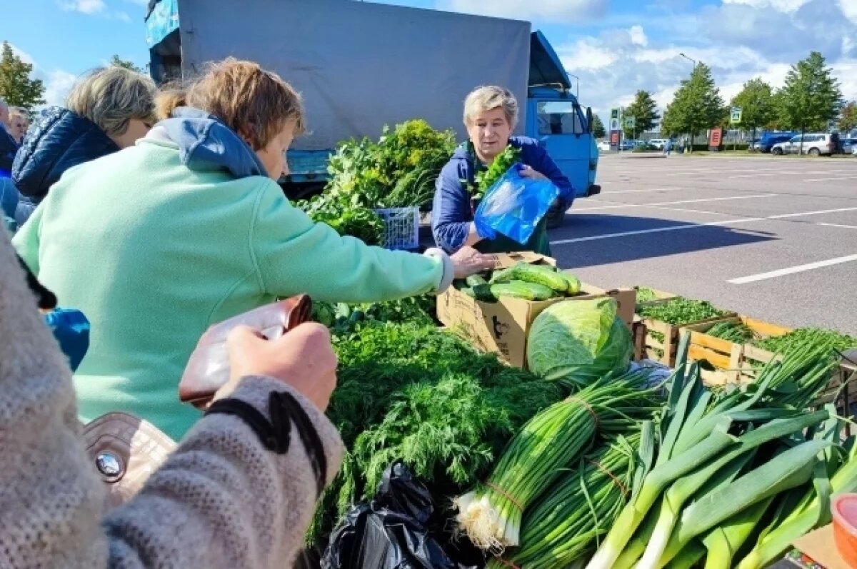    В Новосибирске определили места под нестационарные торговые объекты