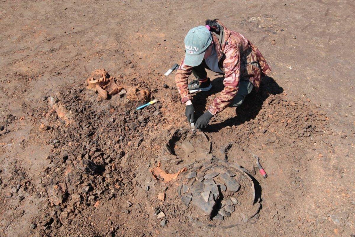    Фото: тelegram-канал главы Адыгеи Мурата Кумпилова, источник: kubnews.ru