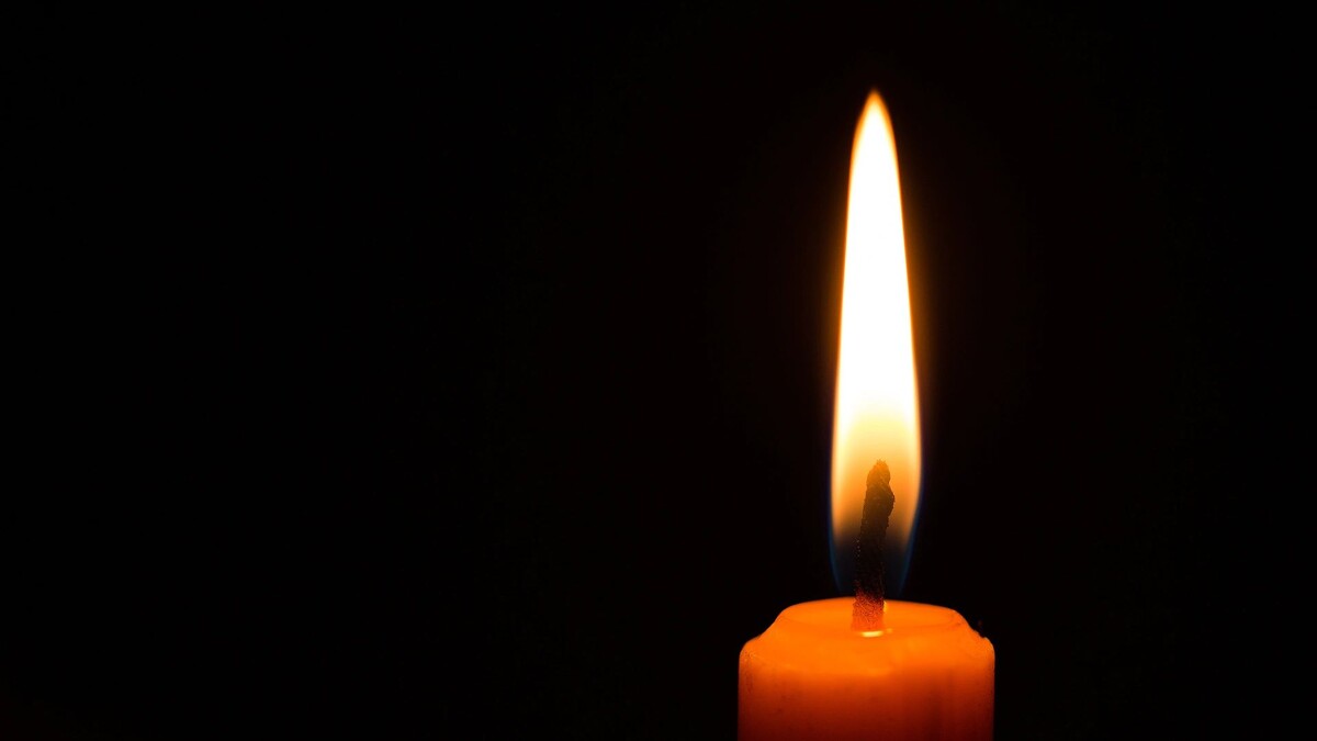    Фото: Pushish Images / Shutterstock / Fotodom